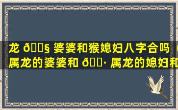 龙 🐧 婆婆和猴媳妇八字合吗（属龙的婆婆和 🕷 属龙的媳妇和得来不）